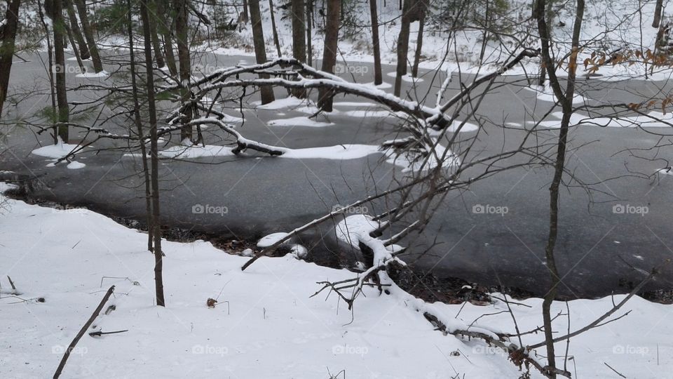 Northern Michigan 