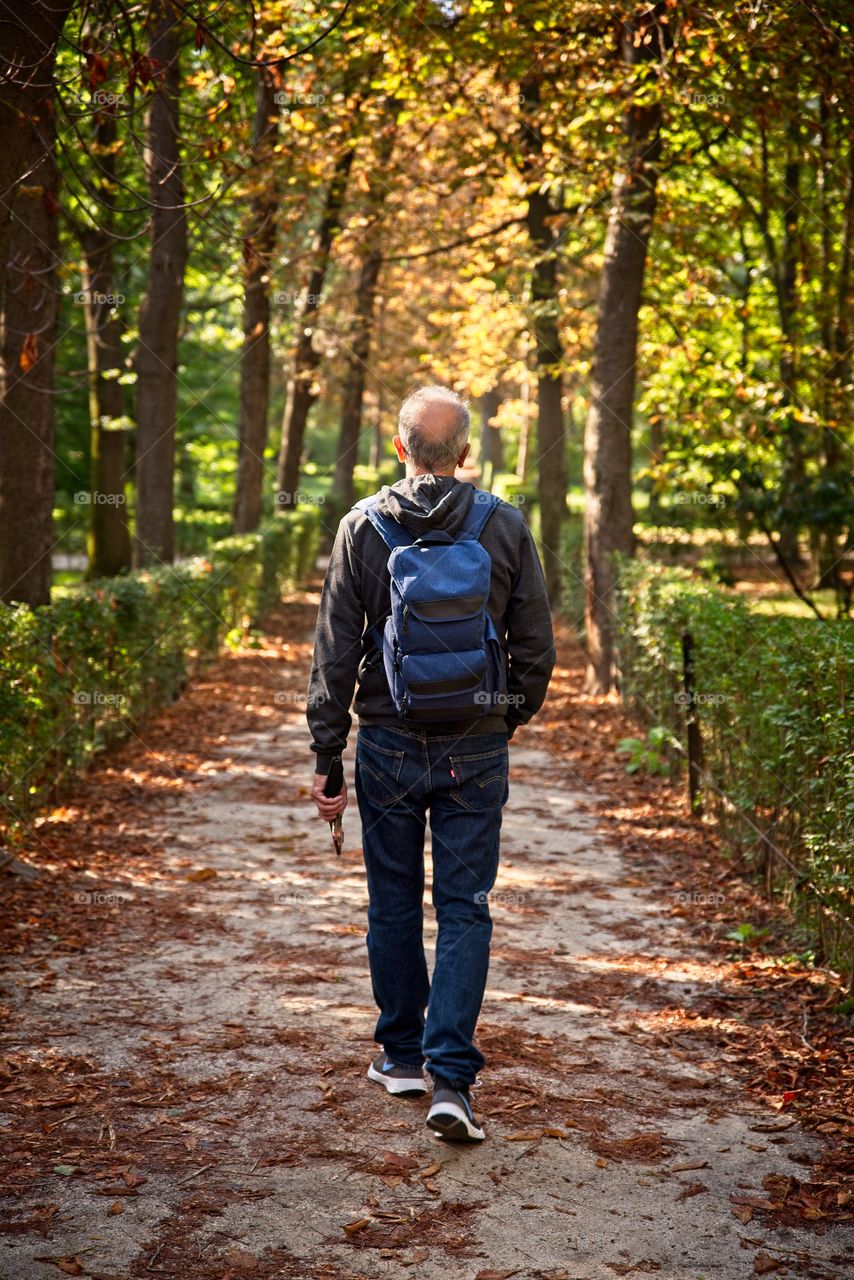 Man walking along a path in the park during autumn/fall