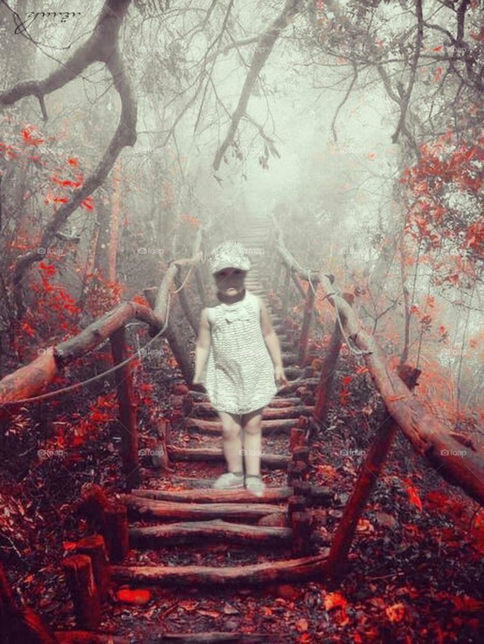 В сказочном лесу