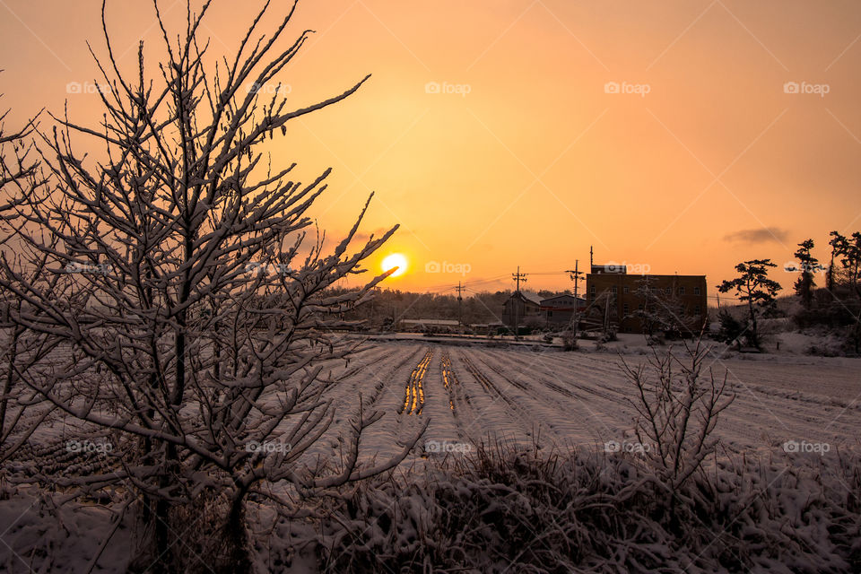 Sunrise with Snow