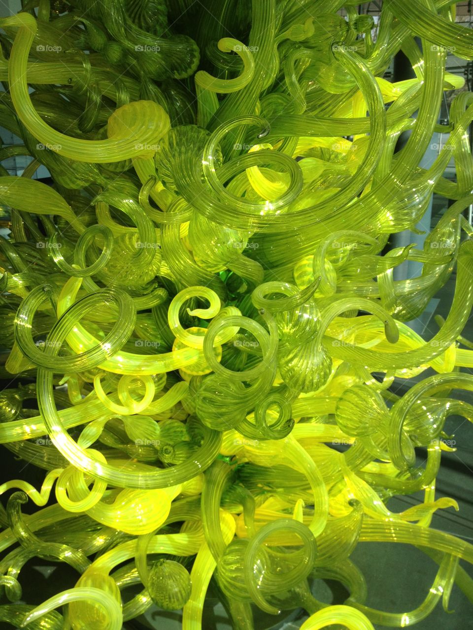 Close-up of green swirl textured