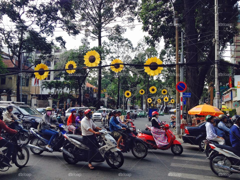 Sunflower Street in Ho Chi Minh City. Beautiful sunflowers in the hustling and bustling of Ho Chi Minh City, Vietnam