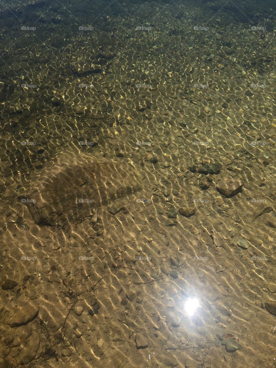 reflection of a small lake by the road