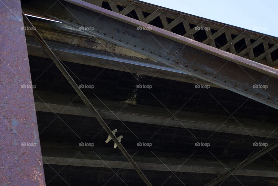 Love birds under bridge