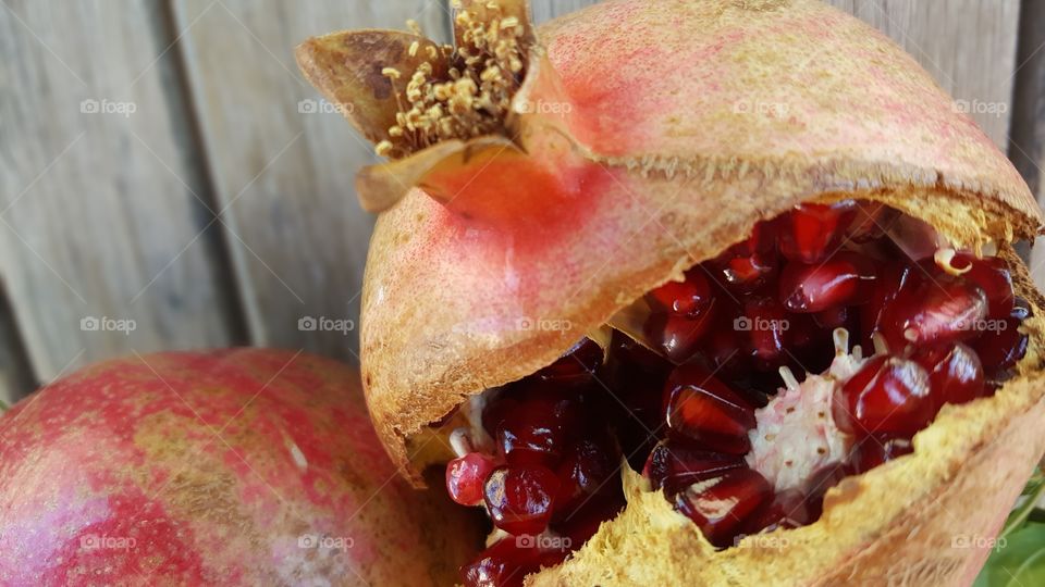 Pomegranate