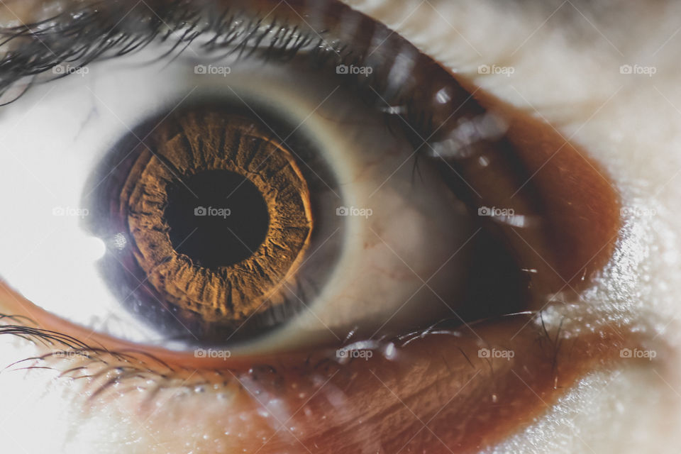 Beautiful and detailed close-up of a light brown ey