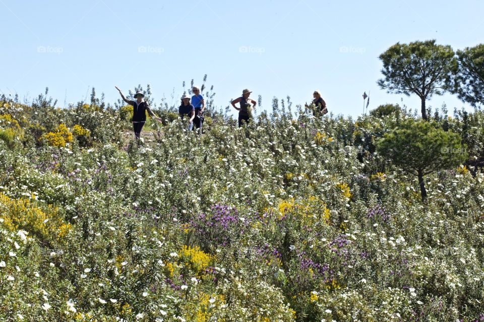 Walking group in blooming wild nature