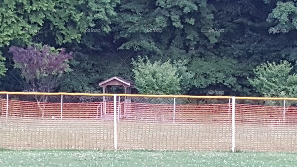 outfield and shed