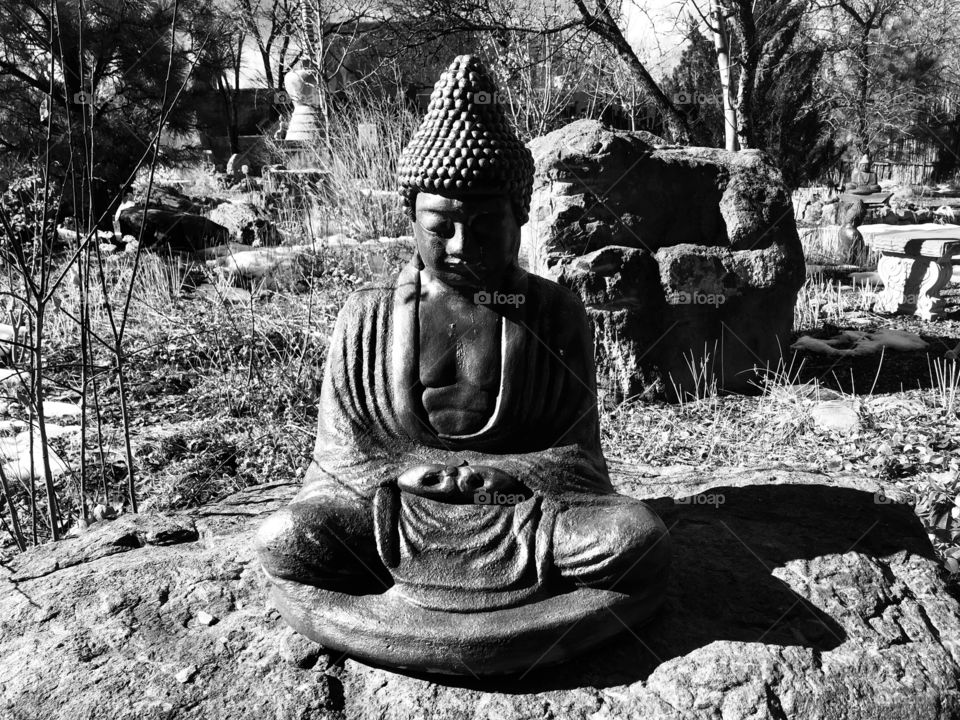 Black and White Buddha