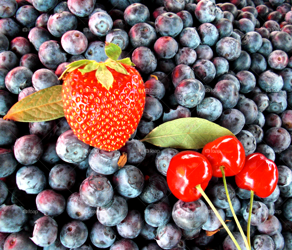 Colour splash of berries