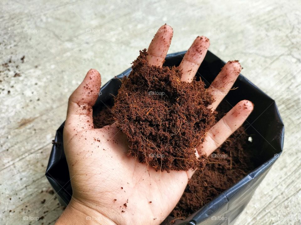 cocopeat which is ready to be used for planting media