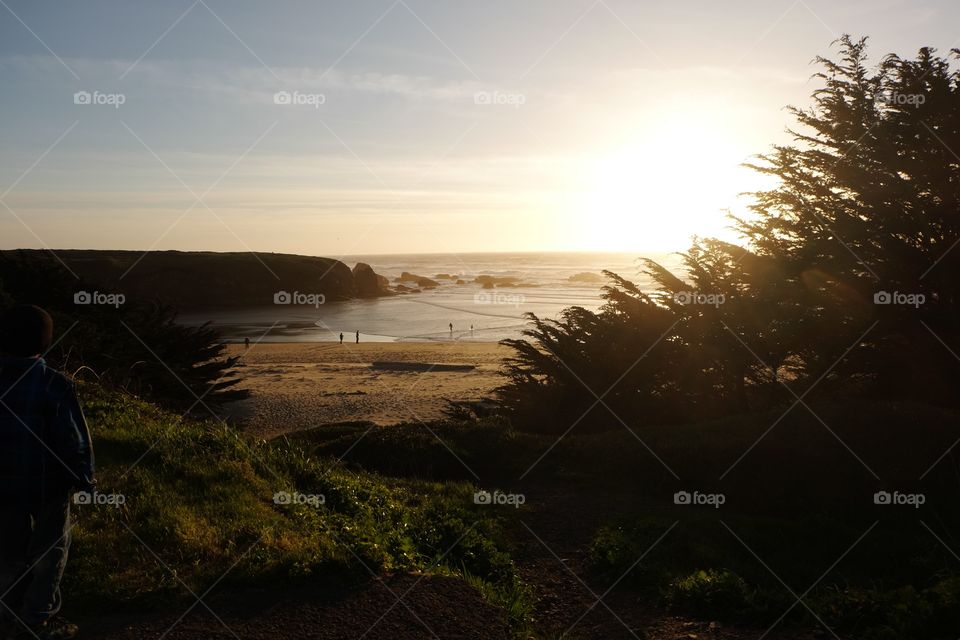 View of a beach during sunset