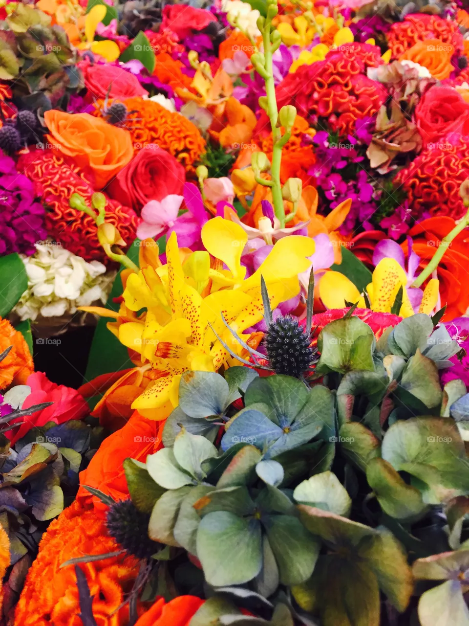 Flowers