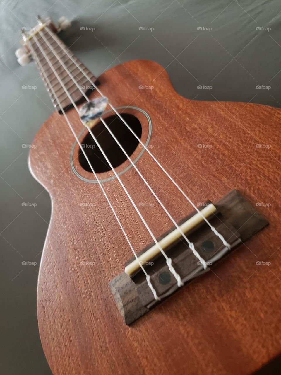 ukelele