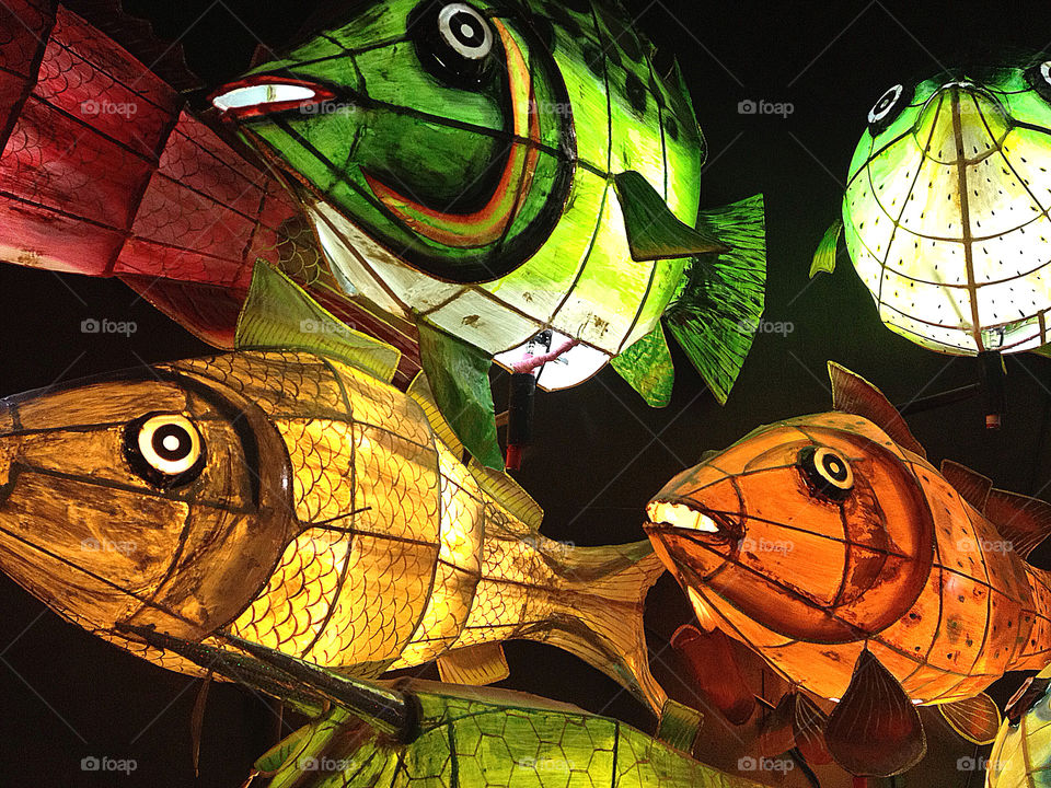 Fish lanterns