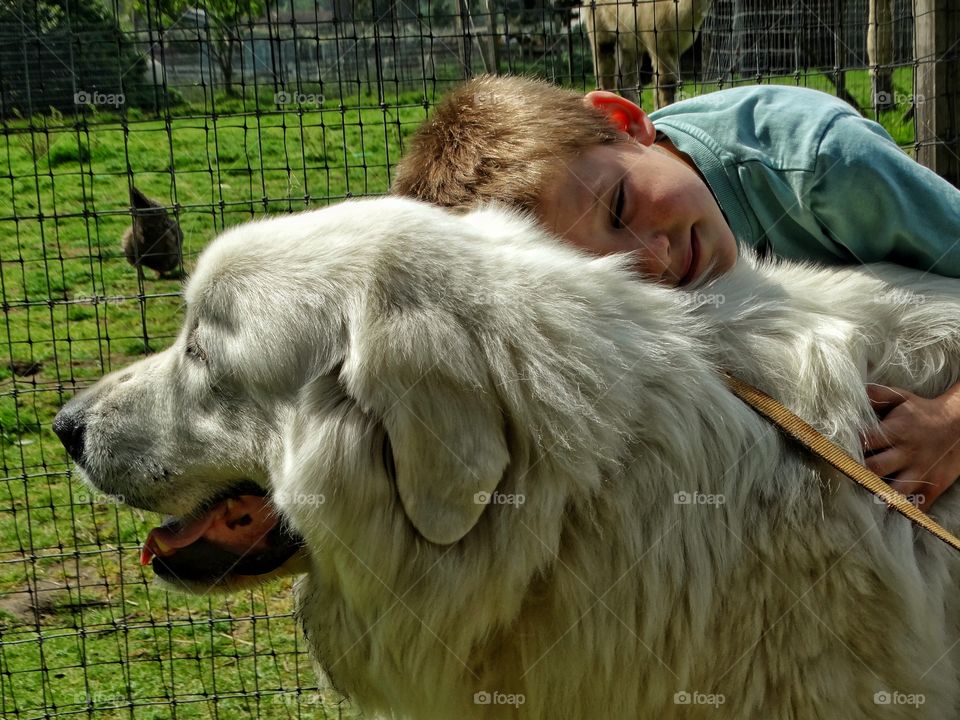 Small Boy With His Big Dog