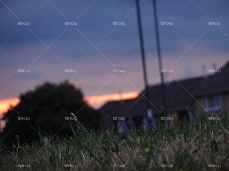 silhouette behind grass