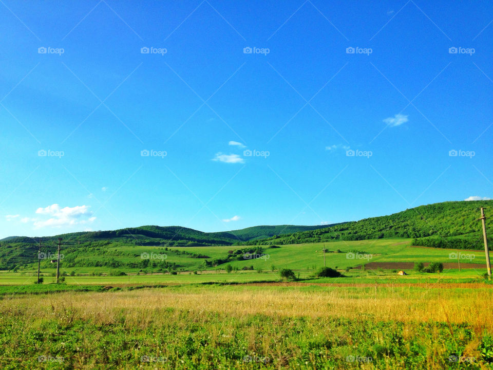 sky green field grass by bogmol