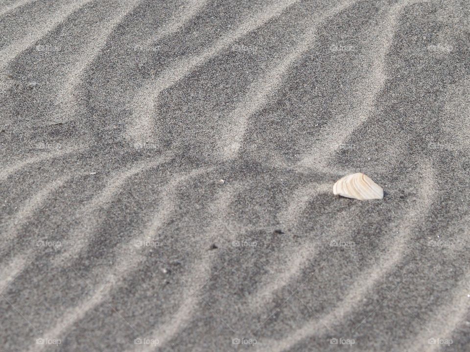 LBI Beach