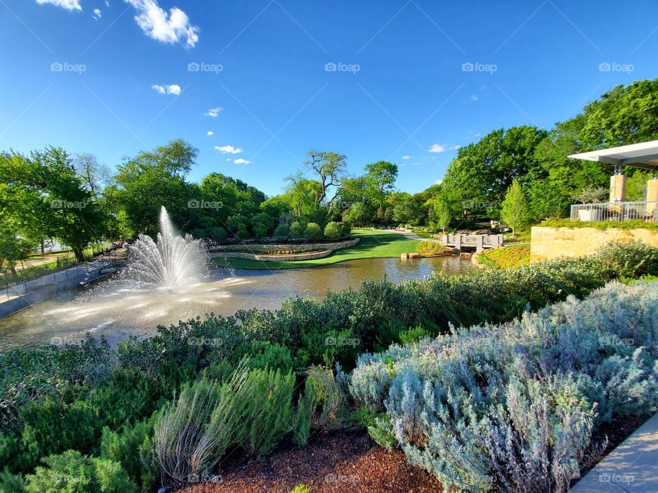 Wide angle Dallas Arboretum