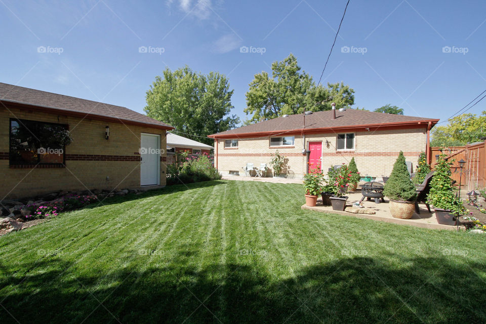 Our oasis of a backyard in Denver. 