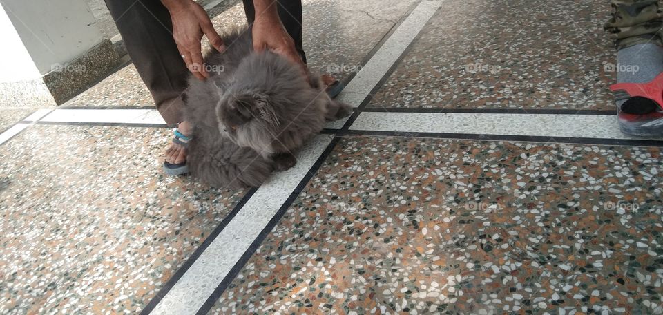 enjoying day with my cat and dad is amazing experience ever