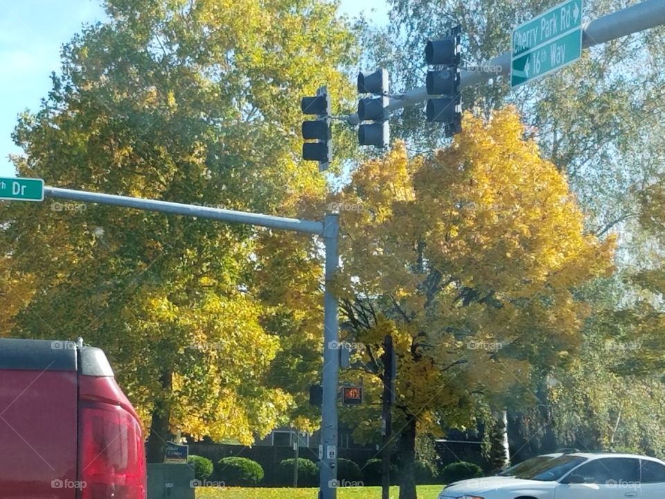 Autumn intersection