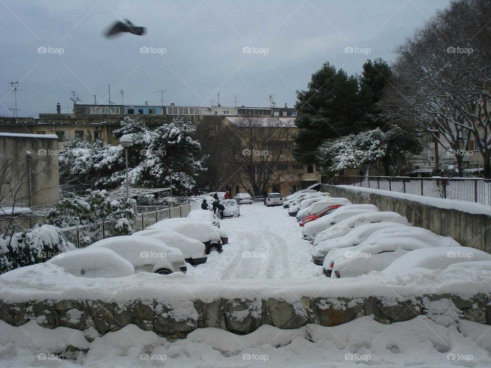 Cars under the Snow