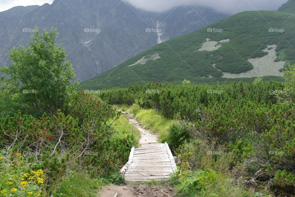 Scenic view of mountain