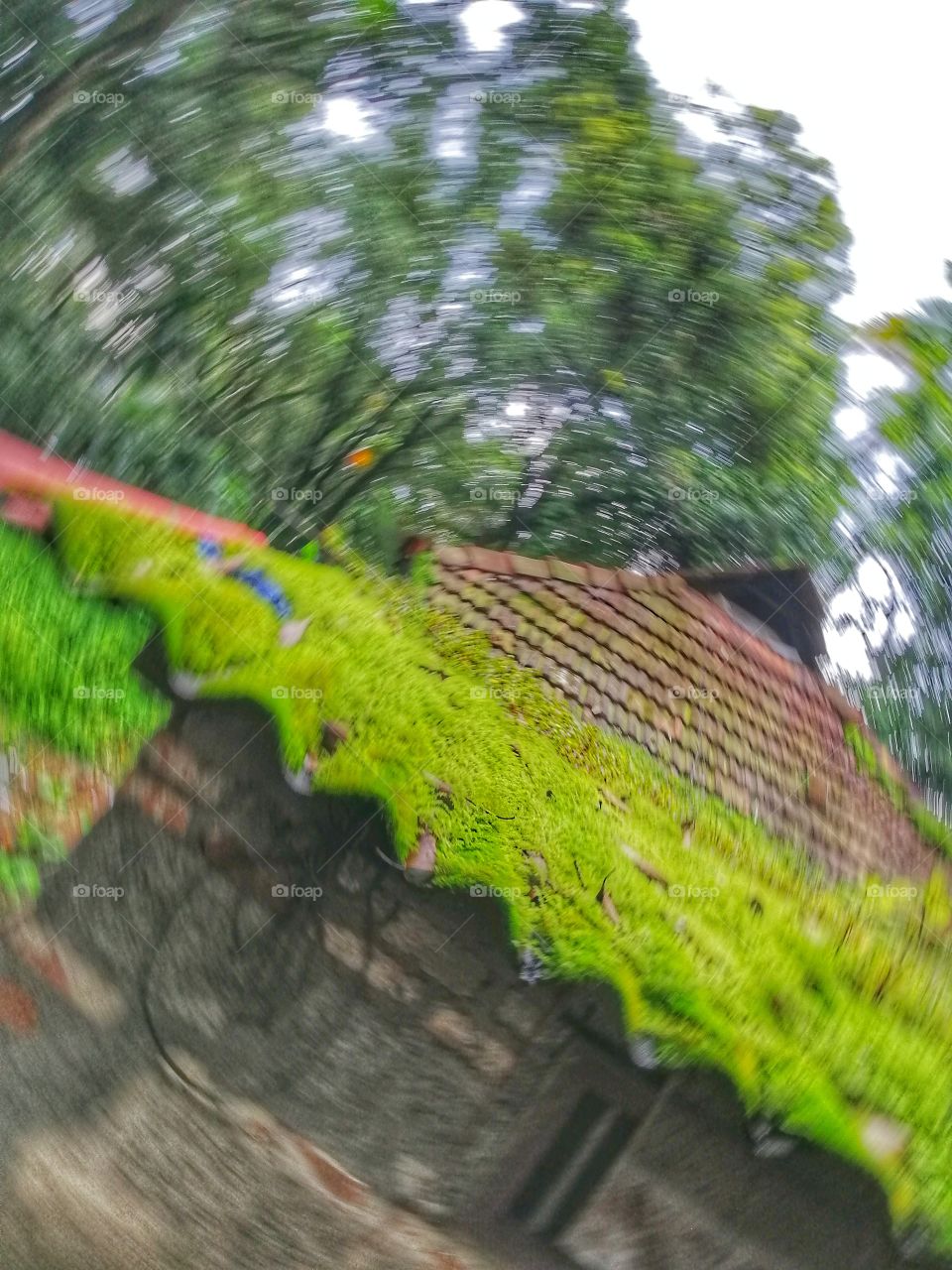 Hollow Ghost Green House