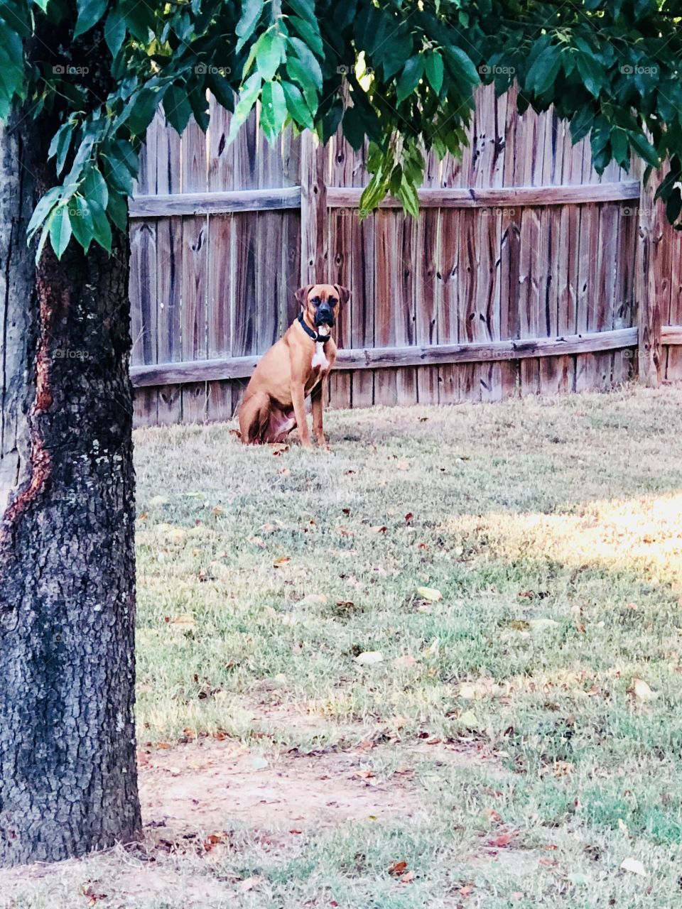 Minding my own business 