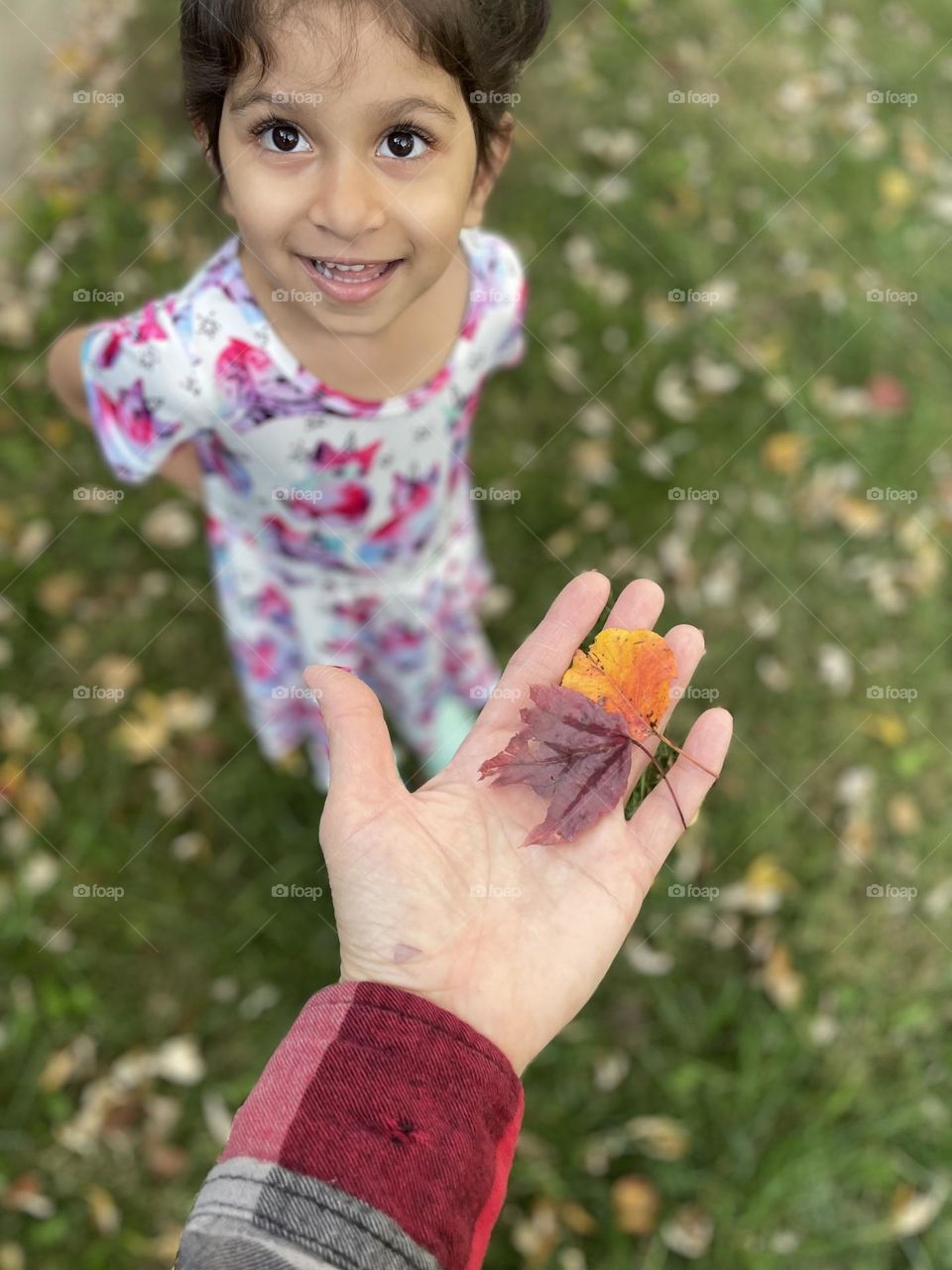 Handing leaves to little girl, fall time activities, finding colorful leaves, enjoying the outdoors, walking with kids, fall time walks with children