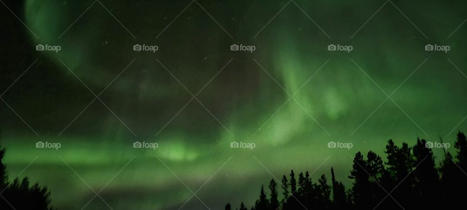 Beautiful northern nights light up the Yukon Canada sky