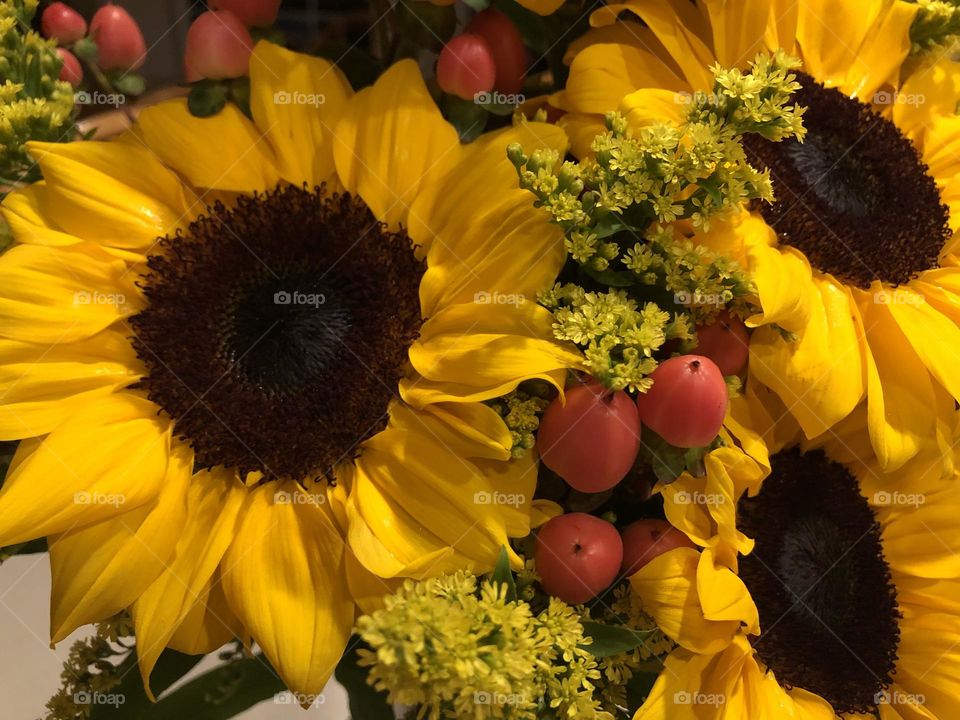 Colorful sunflowers and other yellow and red mixed in