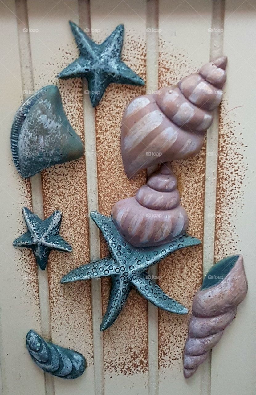 shells
