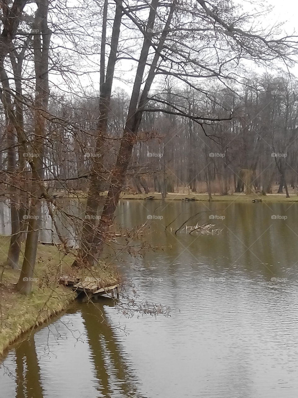 Lake in the park . The beauty of spring in naturalistic park in Rozalin,  Poland 