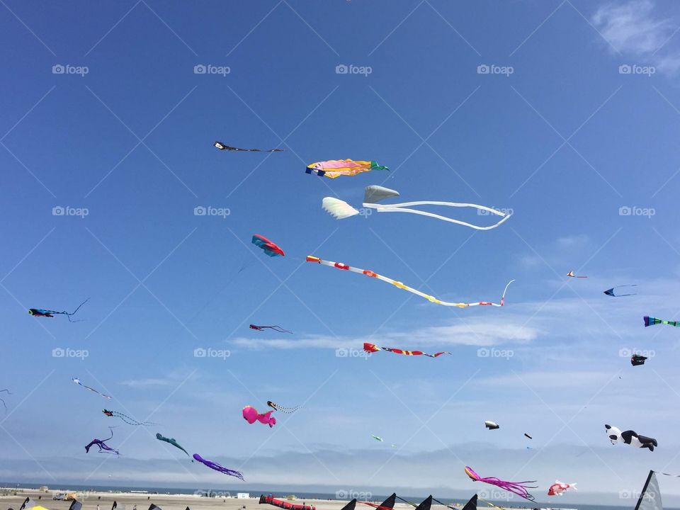 Kite Festival in Wildwood NJ USA