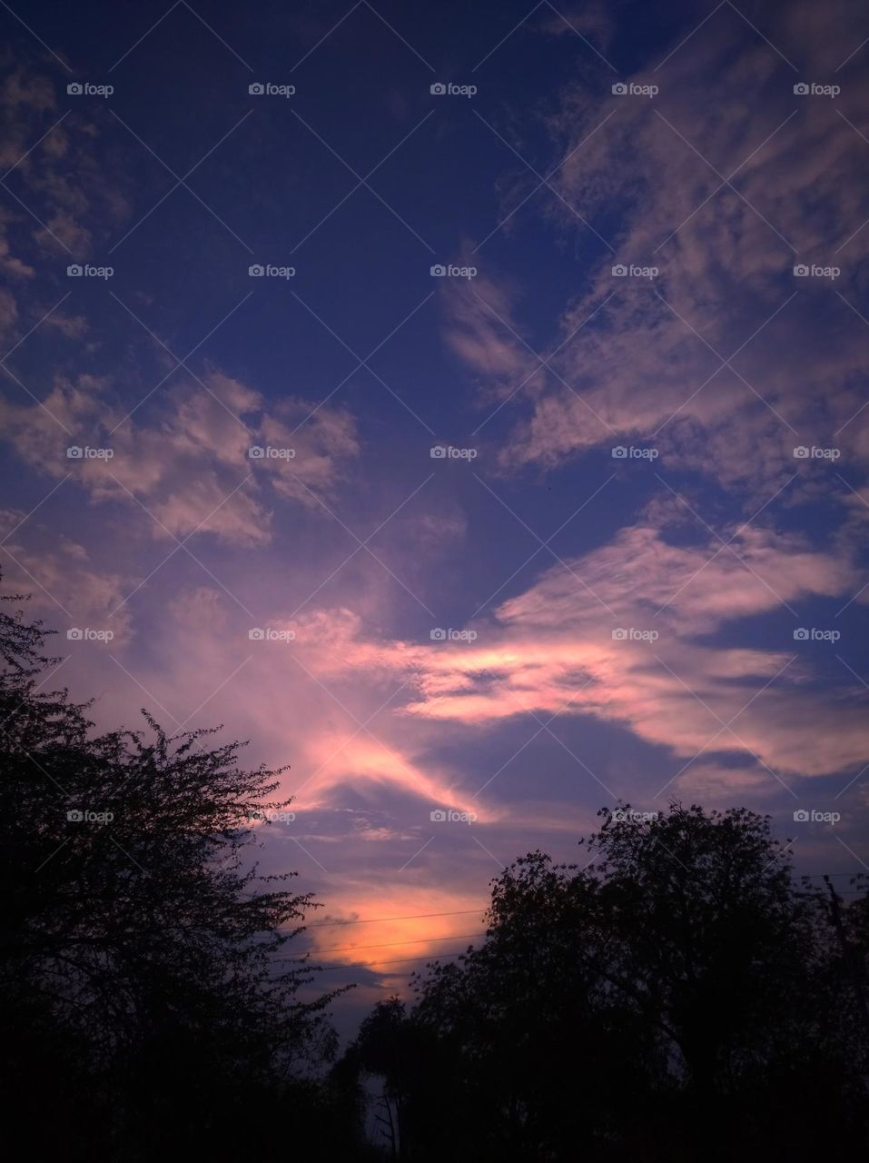 Sun set scene whites cloud scattered dark tree looks very beautiful, yellowish cloud scattered