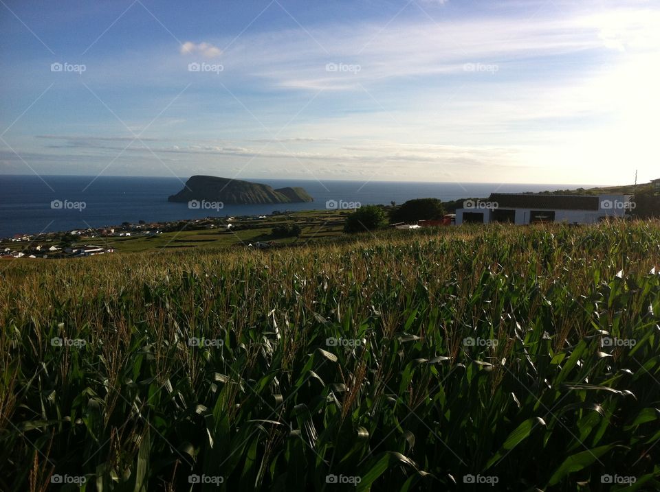 Ilha terceira. Portugal