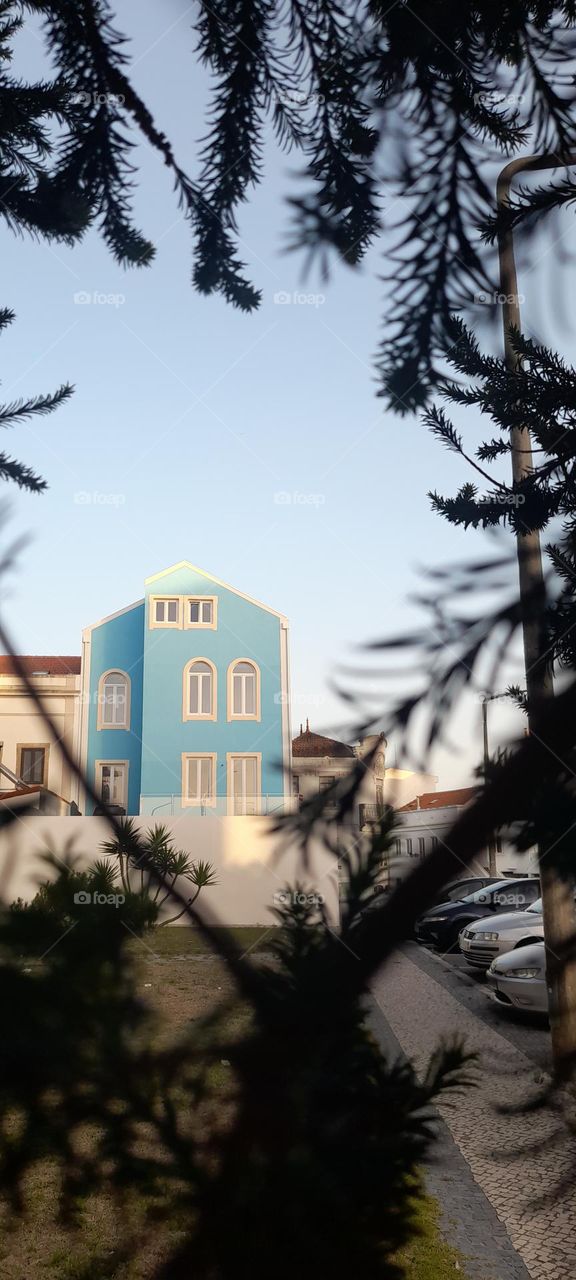 Building in the back