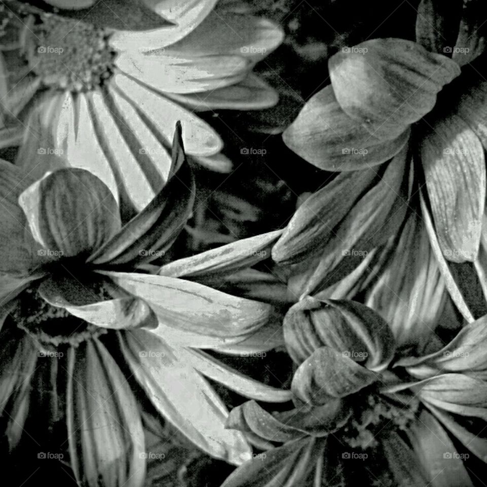 b+w lighting effects