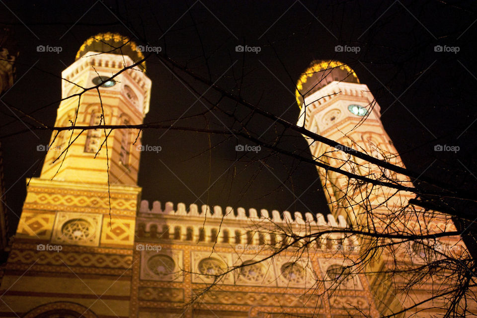 Dohany street synagogue