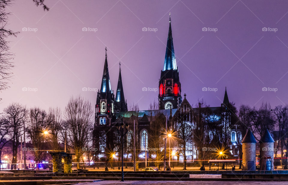 St. Olga and Elizabeth cathedral in Lviv city