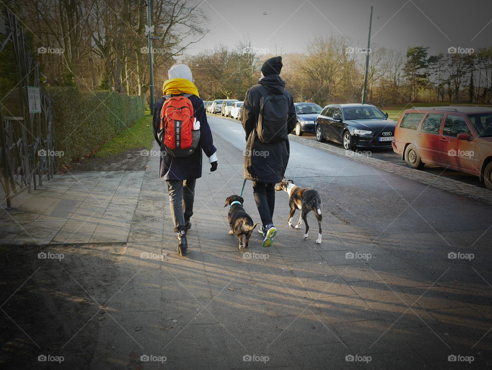 Women walking the dogs 