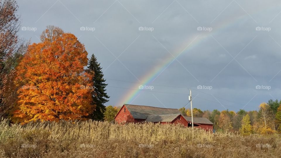 Autumn Rainbow