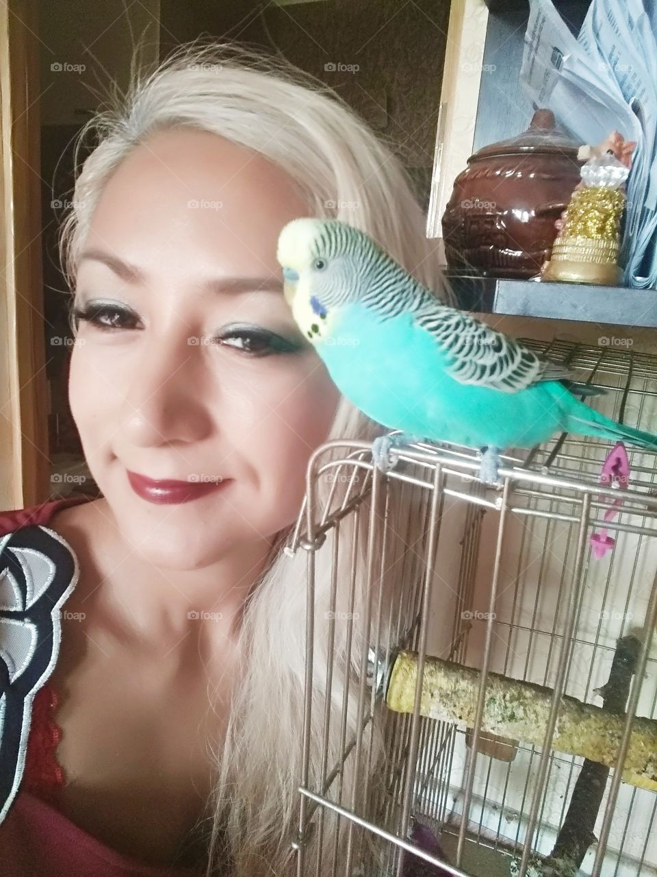 my parrot friend