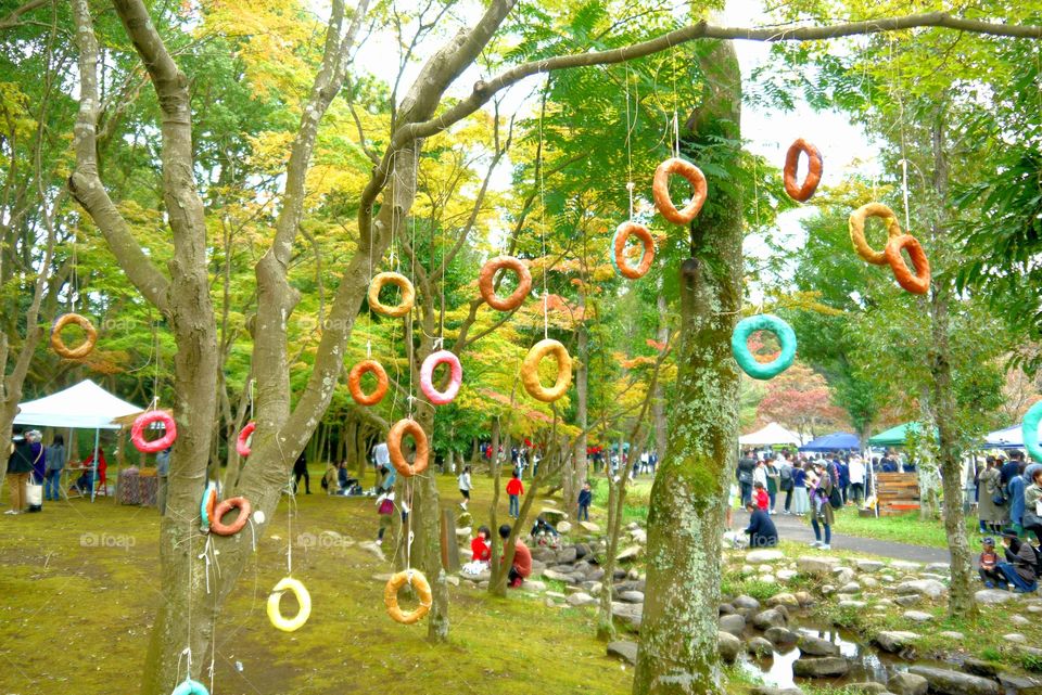 Donut rings