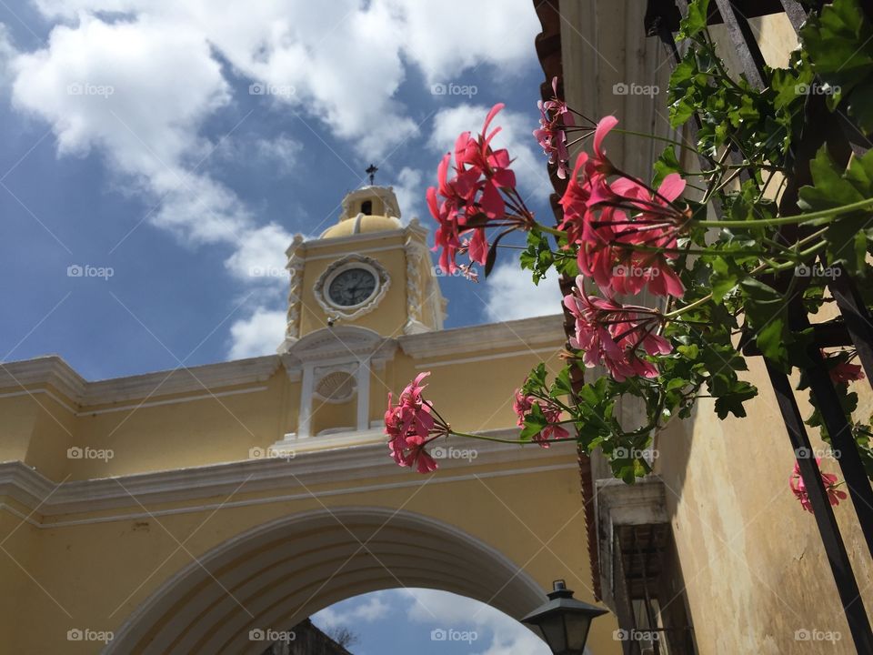 Flowers In Antigua. Beautiful flowers and arch in Antigua