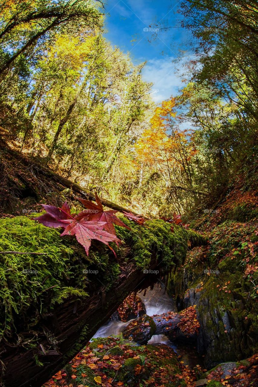 Beautiful valley and river natural landscape