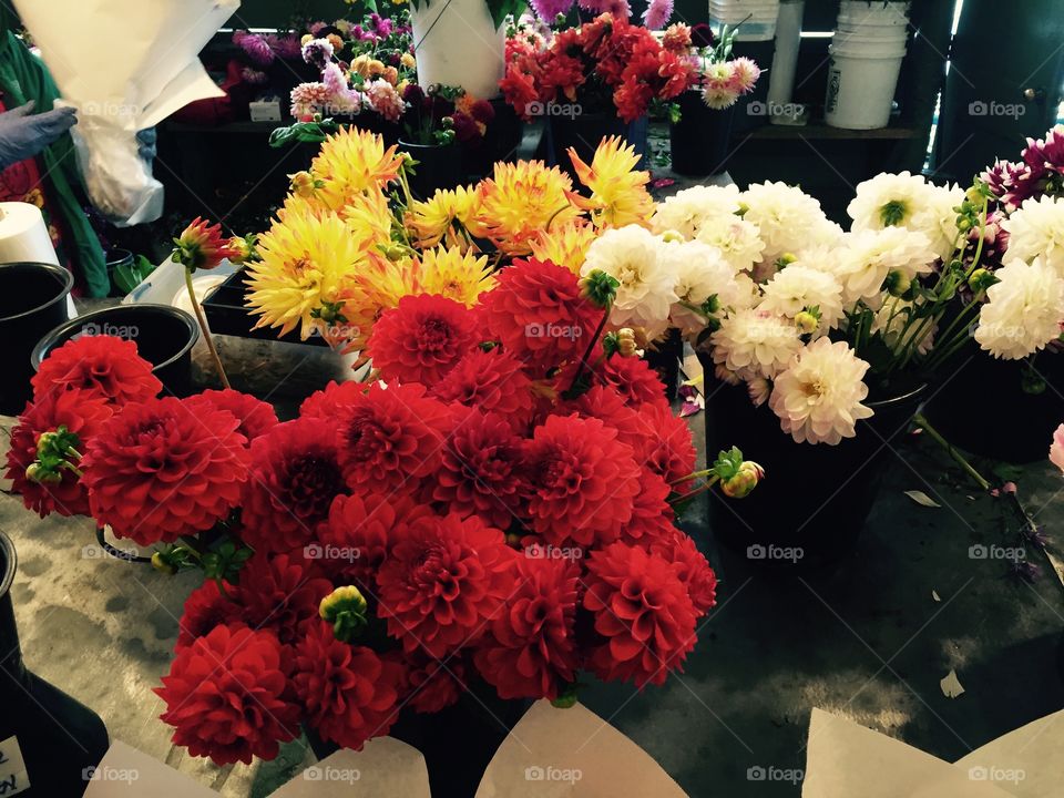 Flowers at Pike Place Market, Seattle, Washington